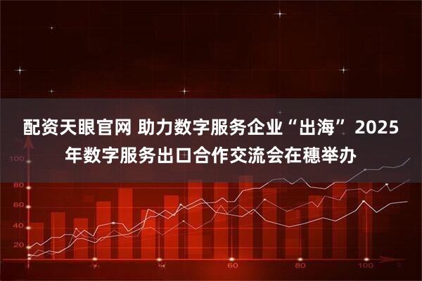 配资天眼官网 助力数字服务企业“出海” 2025年数字服务出口合作交流会在穗举办