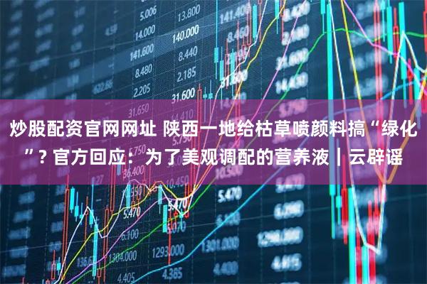 炒股配资官网网址 陕西一地给枯草喷颜料搞“绿化”? 官方回应：为了美观调配的营养液｜云辟谣