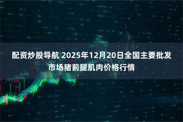 配资炒股导航 2025年12月20日全国主要批发市场猪前腿肌肉价格行情