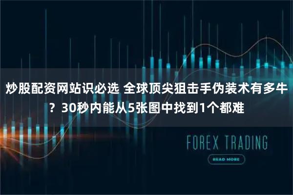 炒股配资网站识必选 全球顶尖狙击手伪装术有多牛？30秒内能从5张图中找到1个都难